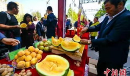 吃瓜最新事件爆料大连,吃瓜群众揭秘最新事件内幕