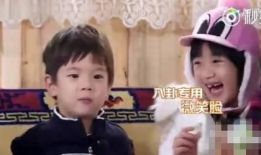 吃瓜八卦娱乐圈直播视频,吃瓜群众围观明星幕后生活